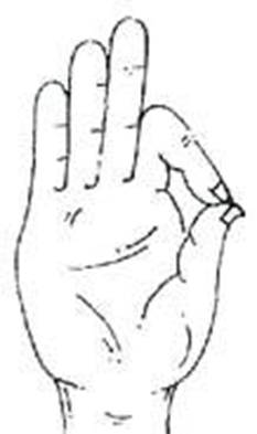 Kinesiology Finger Modes Chart