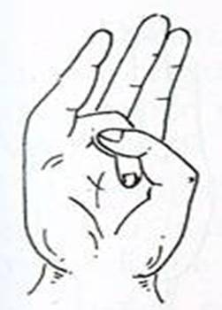 6Surya Mudra.jpg